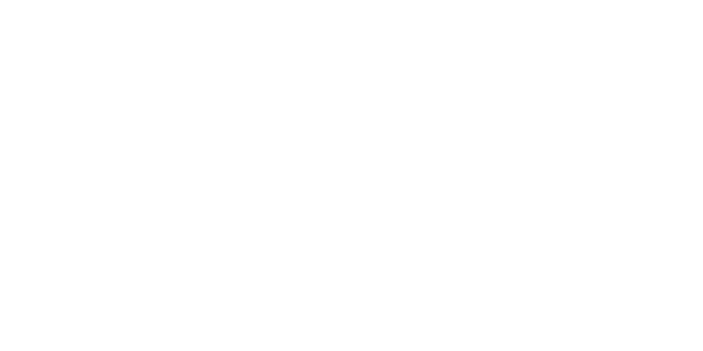 Leadinfo